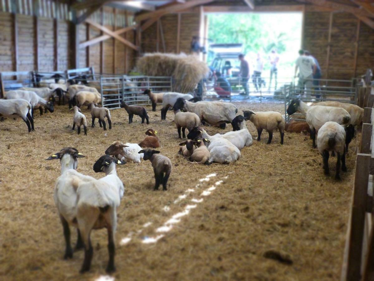 반느 La Ferme Du Vincin B&B 외부 사진